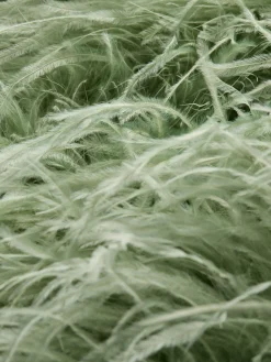 Alice and Olivia JACKETS*CHANDA FEATHERED VEST DARK CHOCOLATE